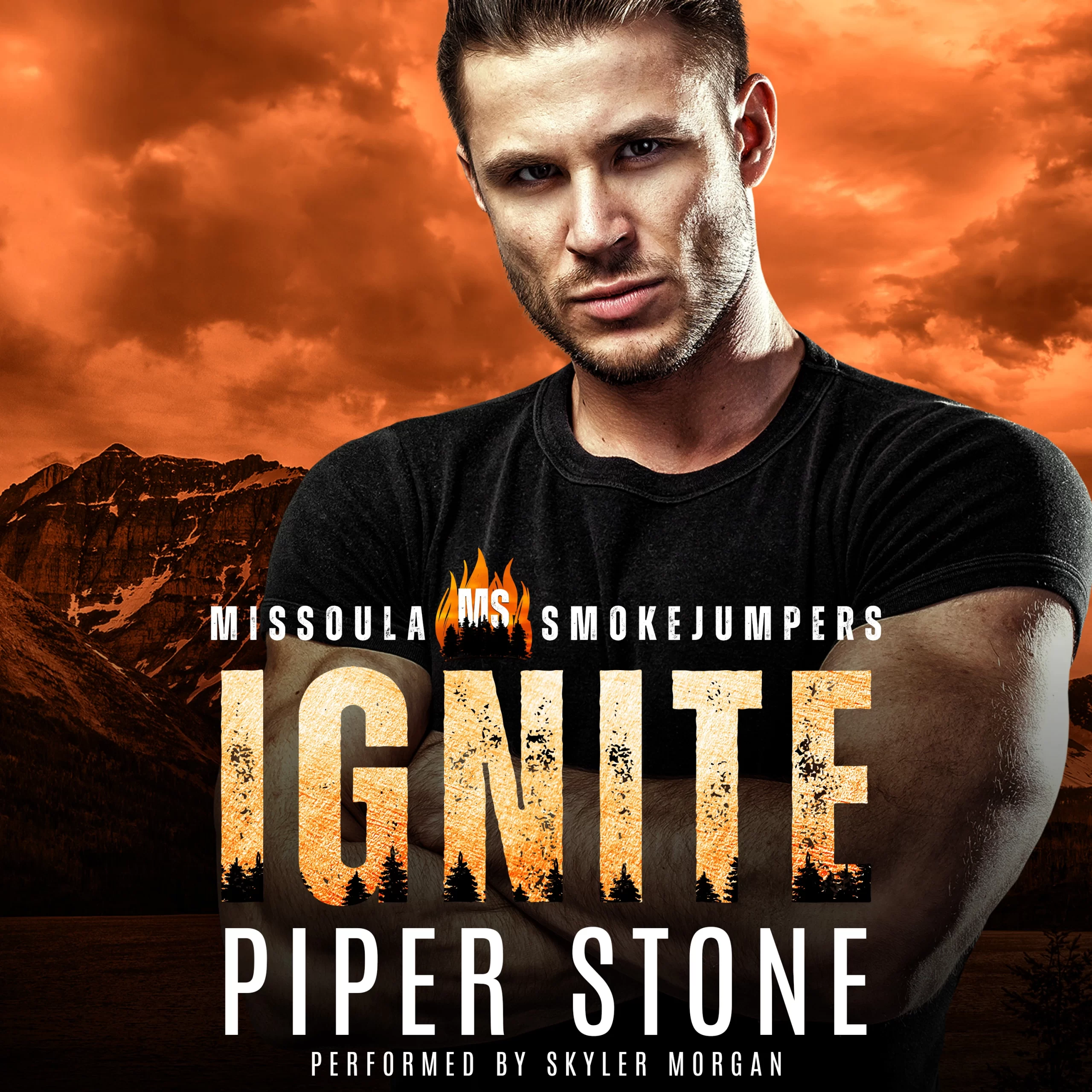 Ignite Audio Book Cover